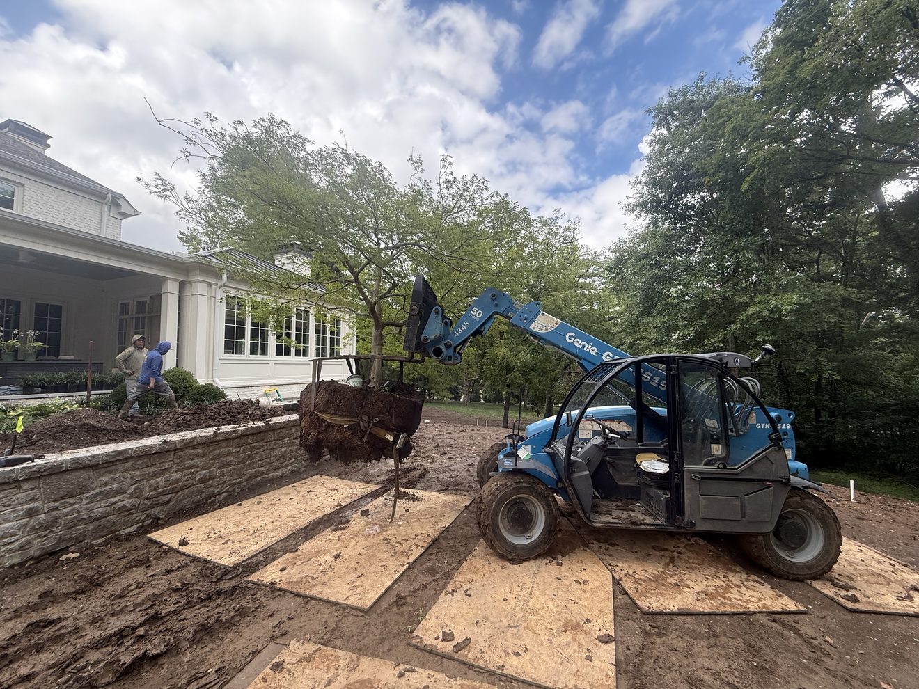 Crew installing a large mature Japanese maple with a telehandler in a tight-access spot, protecting the stone retaining wall and hardscaping at a Nashville estate