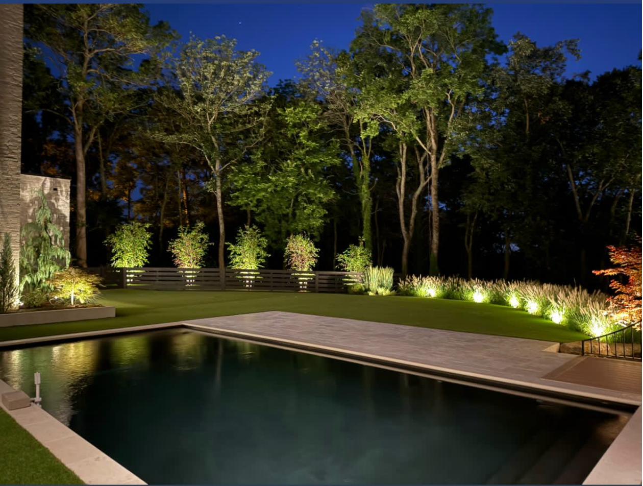 Modern backyard with dramatically uplighted trees, ornamental grasses, and dark pool at night