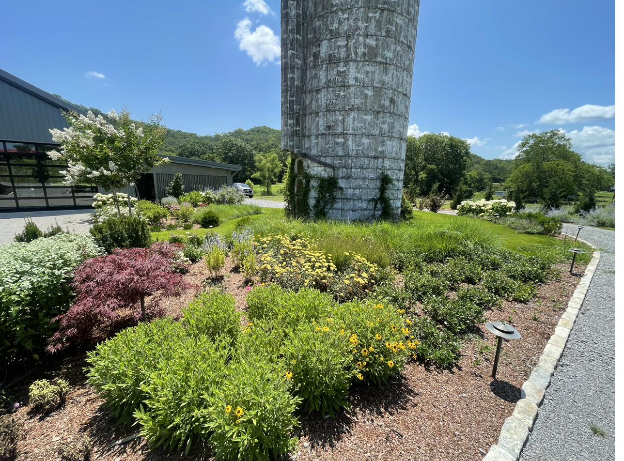 Native garden with black-eyed Susans, Japanese maple, and ornamental grasses at Leiper's Fork property